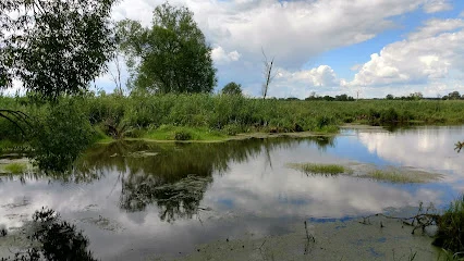 Narwiański Park Narodowy
